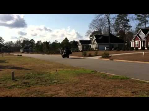 Cat walking golfcart