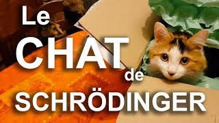 LE CHAT DE SCHRODINGER