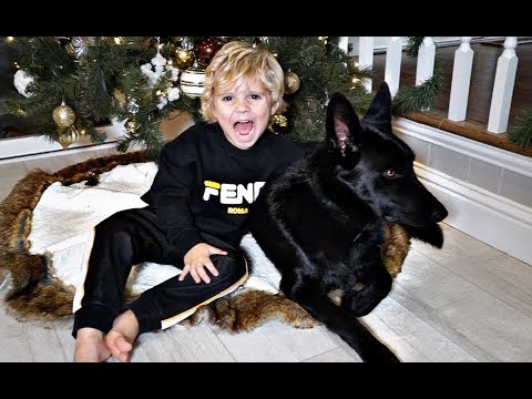 ¡¡¡Sorpresa después de Navidad para Tydus!!!