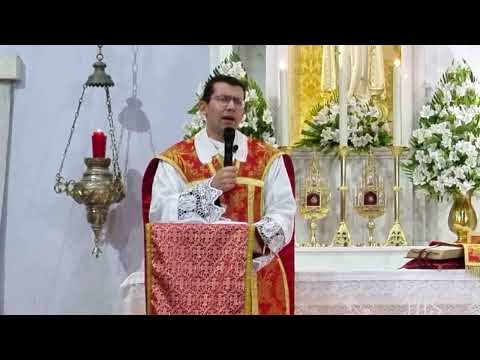 Homilia † Exaltação da Santa Cruz, 19h – 14/09/2026