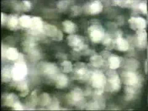 DARAPHET Ya ham Chai