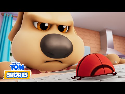 Bug Off! (Nasty Little Bugs 3) 🪲 Talking Tom Shorts | Cartoons for Kids
