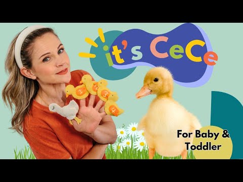 Parents Choice for Baby & Toddler I Learn to Talk I Five Little Ducks Song for Kids I it's CeCe! I