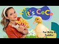Parents Choice For Baby Toddler I Learn To Talk I Five Little Ducks Song For Kids I It S CeCe