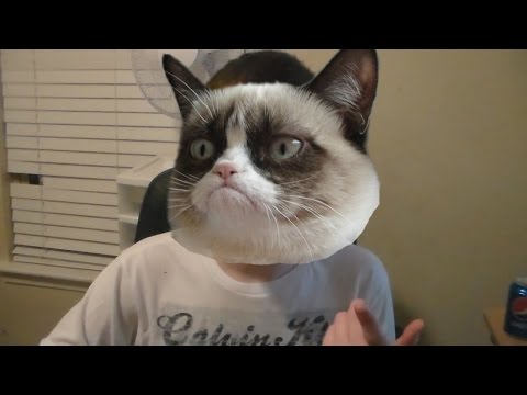 Fillet O' Film- Grumpy Cat's Worst Christmas Ever