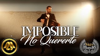 Imposible No Quererte Lyrics English Translation
