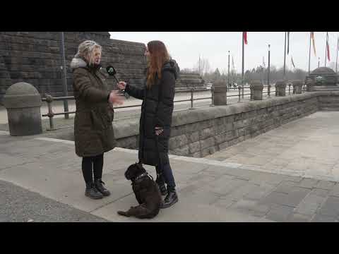 Der Dog Coach Folge 10 - Was ist Territorialverhalten?