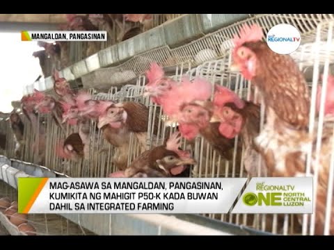 One North Central Luzon: Integrated Farming