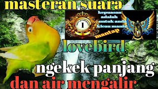 Download lagu masteran lovebird dan gemercik air cocok buat masteran mp3 Download lagu masteran lovebird dan gemercik air cocok buat masteran mp3