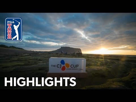 YouTube thumbnail for video