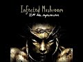 Infected Mushroom   Stretched