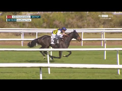Douvan's relation Delante is stylish on debut in France!