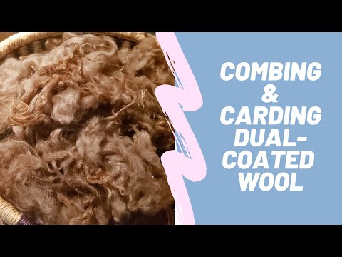 Camaj Fiber Arts - Using wool combs and carder on dual coated fleece. See what happened.