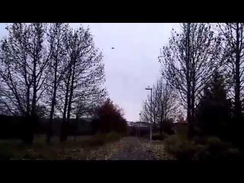 Fuglarnir í Grafarvogi 2015