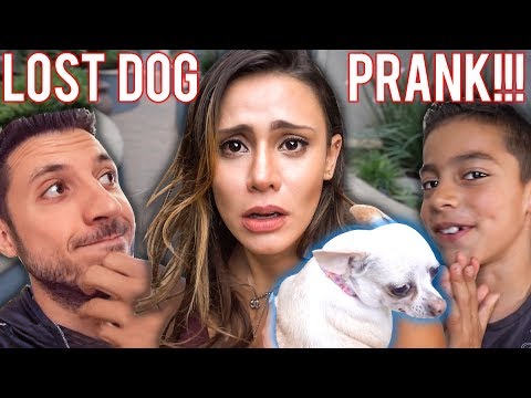 I LOST MY MOM'S DOG PRANK!! **SHE WAS MAD**