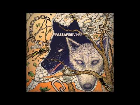 Black Dog video