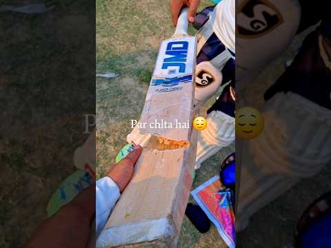 English willow cricket bat toot gya🥺cricketshorts