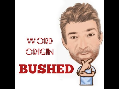 English Tutor Nick P Word Origins (224) Bushed