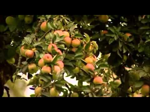 Als der Osten noch Heimat war - Pommern (Doku) Teil 3v3