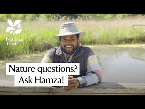 Hamza Yassin, wildlife presenter, shares his top tips for nature in autumn