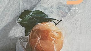 citrus 歌ってみた （原キー）