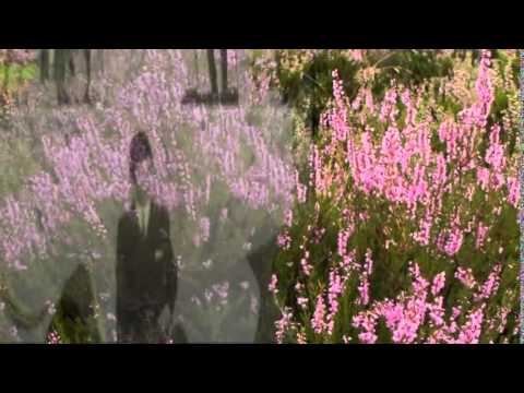 Nie mówię żegnaj   JACEK LECH