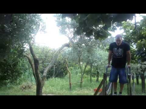 600 PULLUPS/600 DIPS PYRAMID [19/06/16]