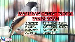 Download lagu Masteran cendet trotol tanpa iklan #masterancendet mp3