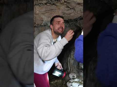 mağarada 24 saat 🦇