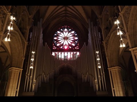 SIGFRID KARG-ELERT - VALSE MIGNONNE