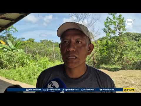 Residentes de Isla Tigre en Bocas del Toro exigen reparación urgente de un puente colgante