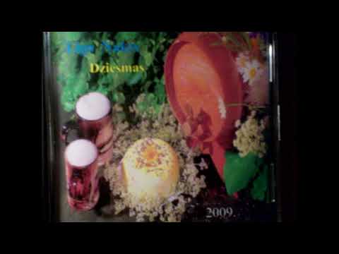 DAINIS PORGANTS - Šo Nakti Līgosim