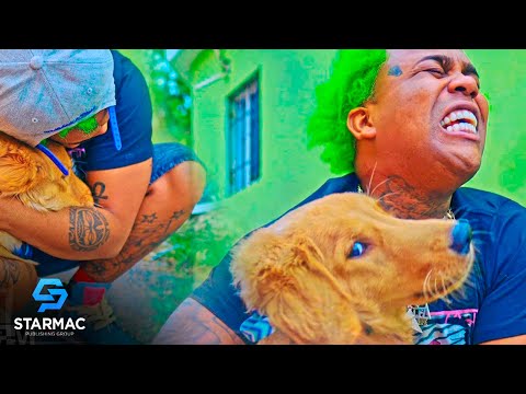 El Perro 🦮🐾  - El Cherry Scom  ( Video Oficial :) 🤣🐕