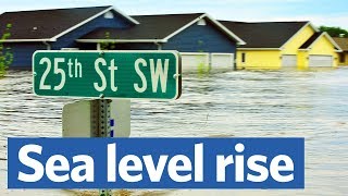 Will sea level rise drown our coastal cities?