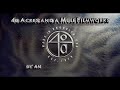 PDI DreamWorks DreamWorks Distribution 40 Acres And A Mule Filmworks DreamWorks Animation