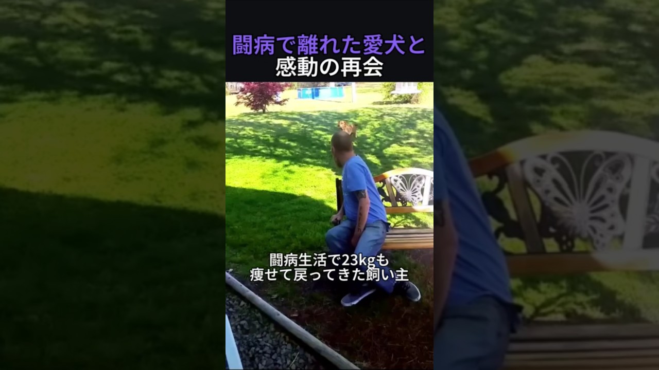 闘病で離れた愛犬と感動の再会
