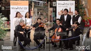 Noche de paz, Silent Night