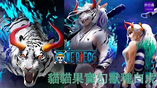 [問題] 大和是白虎的可能性？