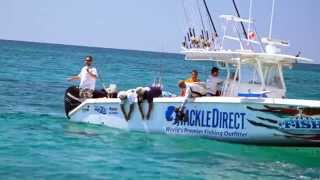 Fish Mavericks calling in the sharks