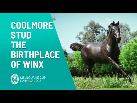 Coolmore Stud Feature | Melbourne Cup Carnival | Channel 10