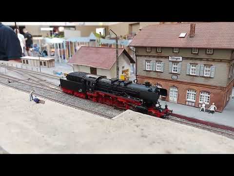 2025-08-07 Annweiler am Trifels FREMO Rhein-Neckar-Pfalz