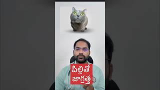 Be aware of cats #cat #rabies #telugu