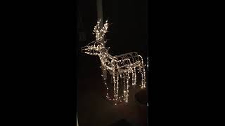 reindeer xmas lights