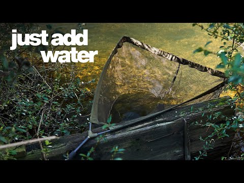 COPPERMILL CARPIN' - Alfie Russell - RIVER CARP SPECIAL