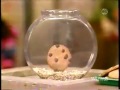 Sesame Street Cookie World
