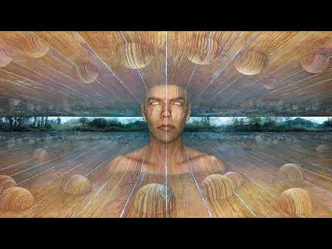 Joseph Goldstein – Insight Hour – Ep. 67 – Factors of Awakening: Investigation