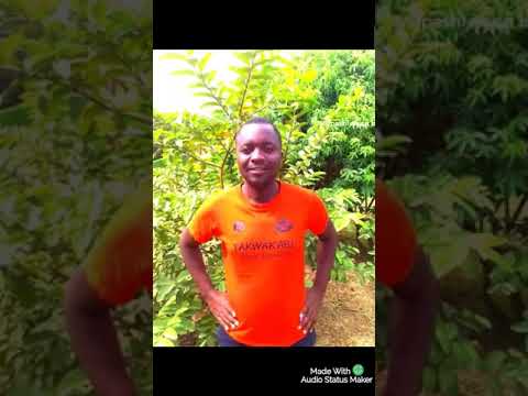 mupashi naisa done by Charles mutemba 0769603365.