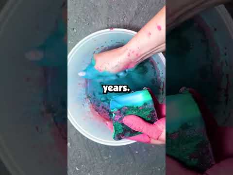 What was the most surprising talent you discovered in someone?