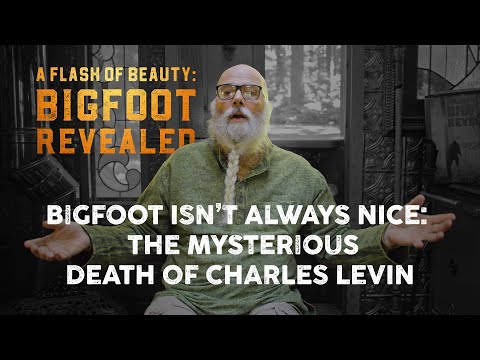 A Flash of Beauty: Stan Avery and the Mysterious Death of Charles Levin