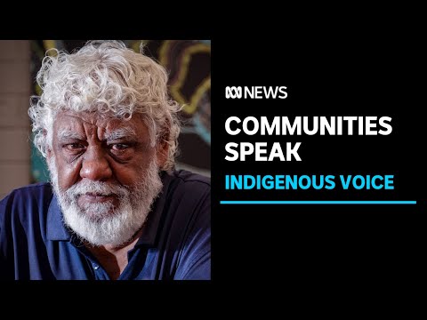 The Voice to Parliament triggers different views among Indigenous Australians | ABC News
